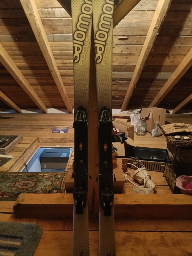 Ski adult Salamon Focus 165 cm