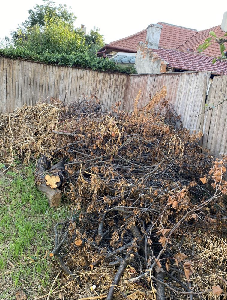 Servicii de : defrișări vegetale , debarasări , goliri , transport etc