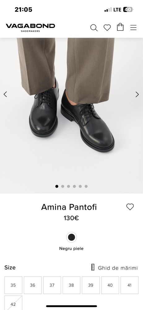 Pantofi vagabond