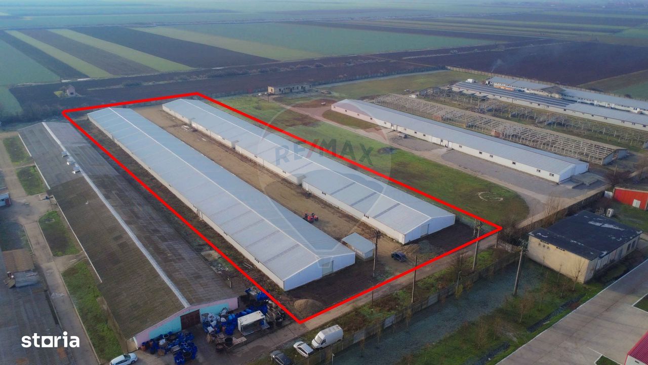 De vânzare – 2 hale industriale, 5.050 mp utili, Palota