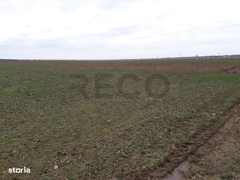 RECO Teren in Santandrei 29 100mp