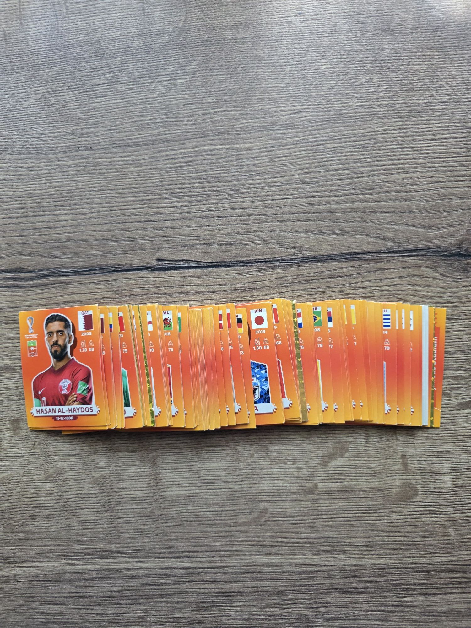 Panini WC22.     .