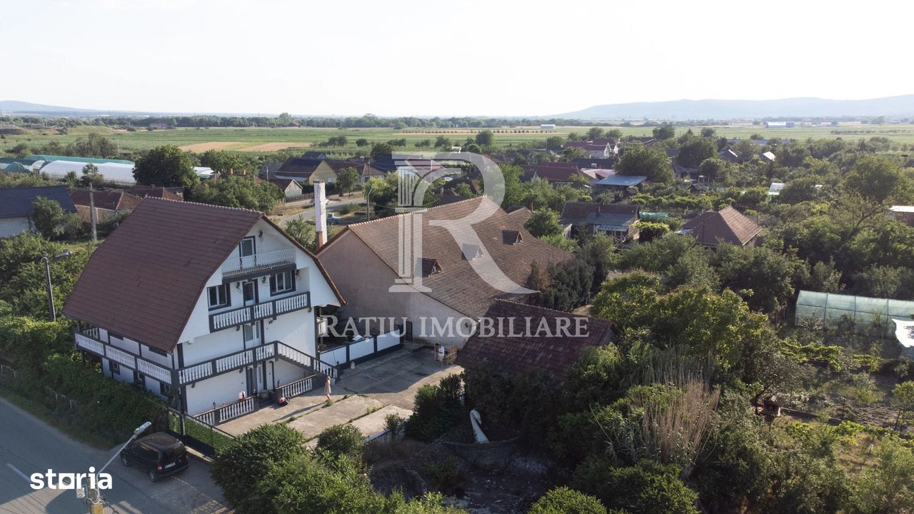 Casă cu Hală Industrială | Teren 3.200 mp | Ineu | Bihor