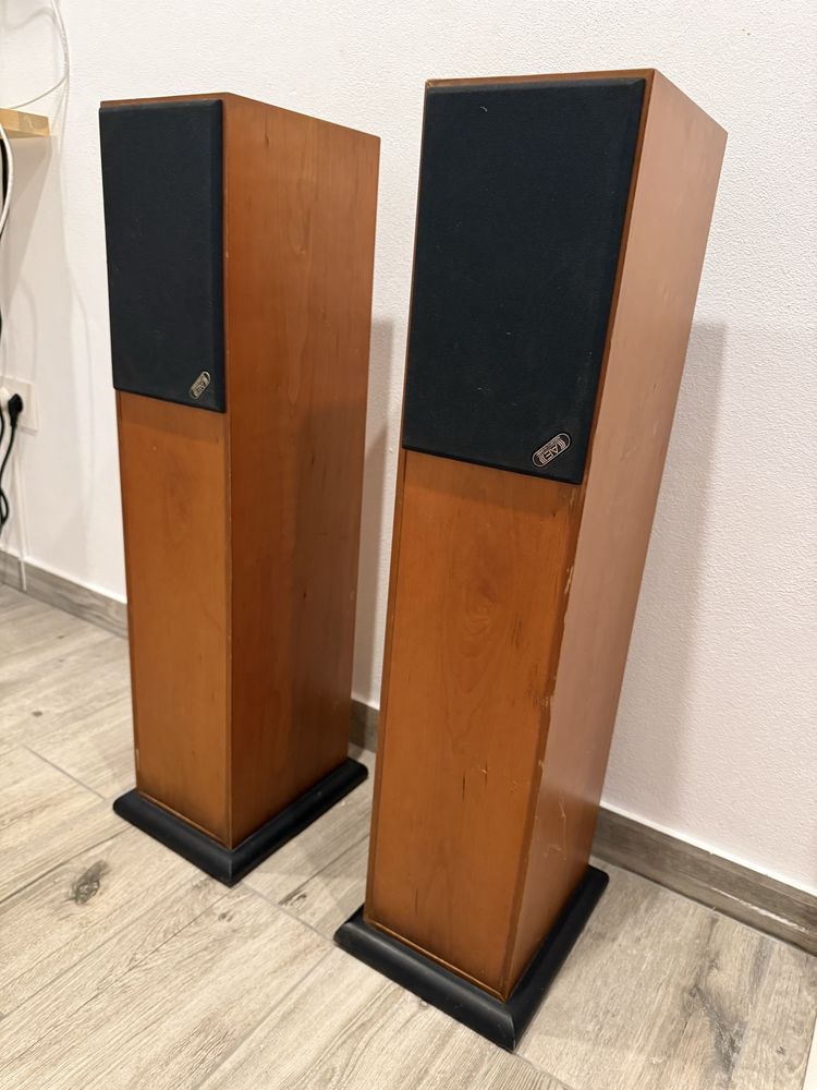 Acoustic Energy AE105 – boxe Hi-Fi floorstanding, 100W RMS, bi-wire – pereche