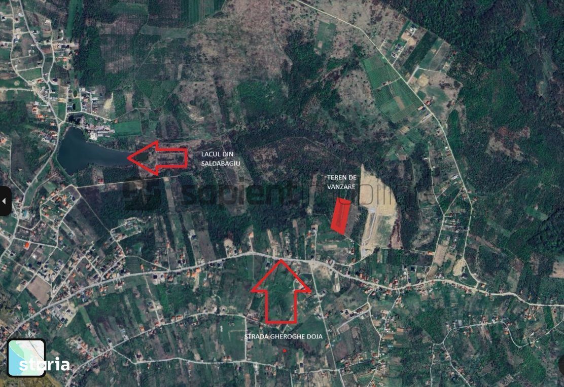 Sapient | Teren extravilan în Săldăbagiu de Munte 4.316 mp