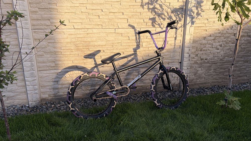 Bmx Sunday Custom