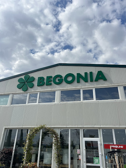 Begonia Garden Center
