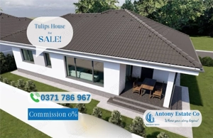 Antony Estate | Tulips House, Casa de vanzare, Santandrei - Bihor