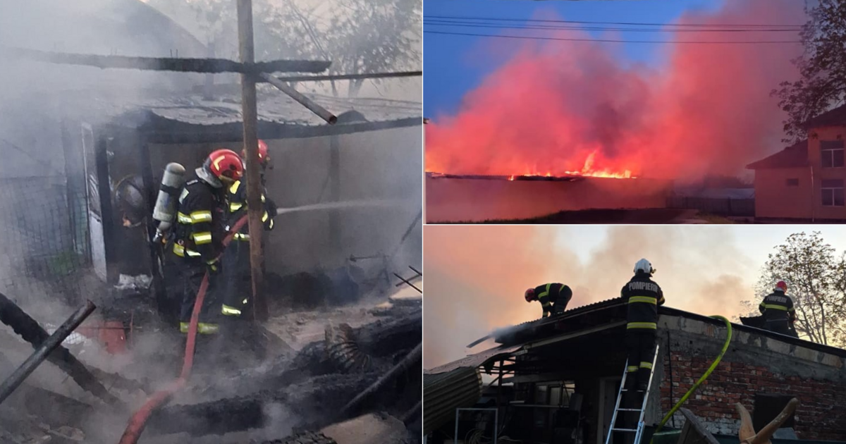 Incendiu puternic în Palota: pompierii au salvat gospodăria și mai multe animale din calea flăcărilor