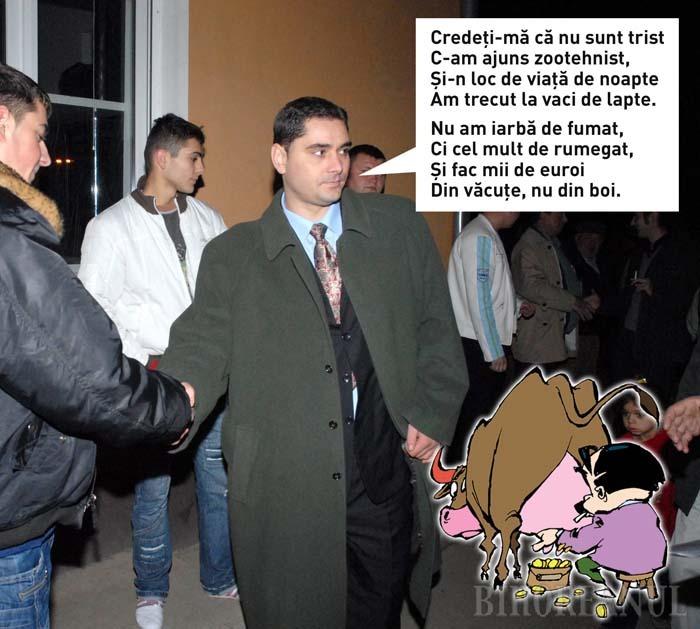 Cowboy de Sântandrei: Temutului Grecu îi place la coada vacii