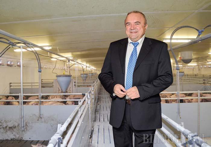 Mega-porcăria: La doi paşi de crescătoria de porci din Ioşia, care împute Oradea, s-a deschis una de trei ori mai mare, la Sântandrei! (FOTO)