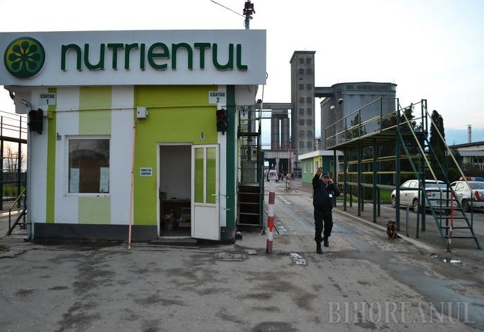 Incendiu la ferma de porci Nutrientul din Palota: un transformator a luat foc
