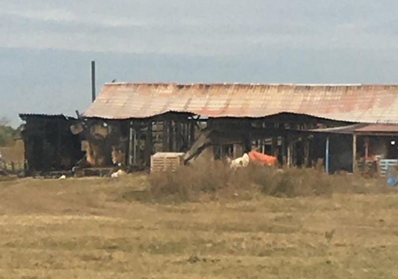 Solidaritate pentru familia lăsată fără casă de incendiul din Sântandrei: o bunică, o mamă şi două fetiţe mici au nevoie de ajutor! (VIDEO)