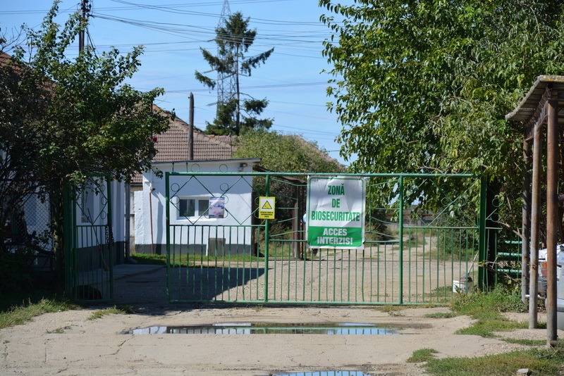 Ferma Nutripork, sursa mirosurilor urâte din Oradea și Sântandrei, s-a închis definitiv (FOTO)
