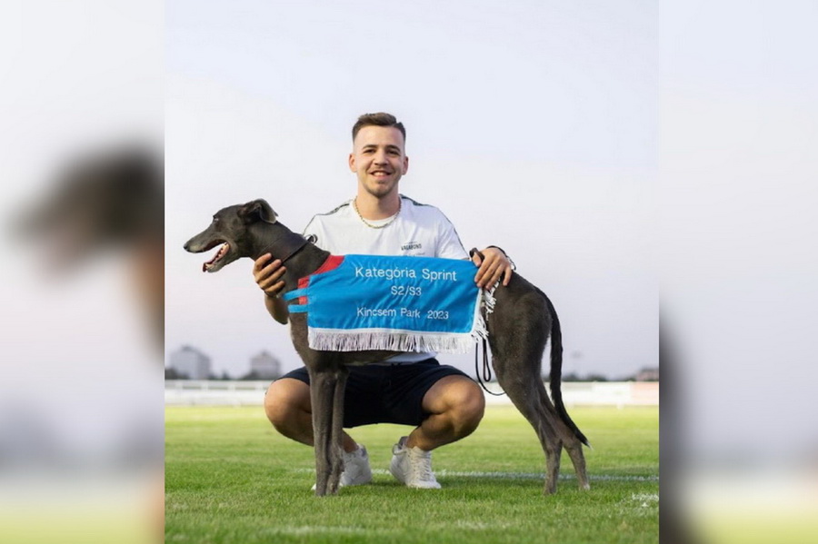 Campionul din Sântandrei: Un ogar antrenat lângă Oradea a câştigat o competiţie de sprint în Budapesta (FOTO)