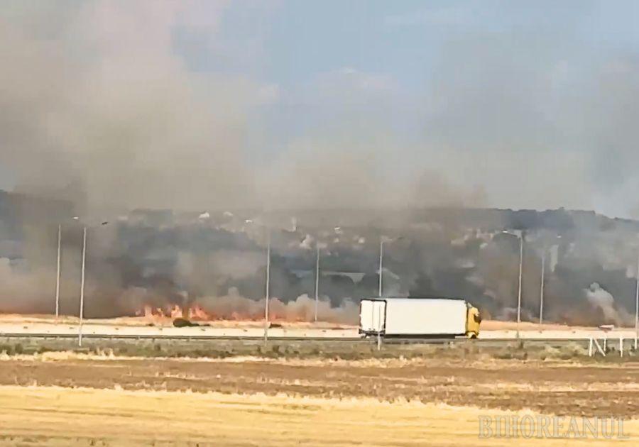Duminică de foc în Sântandrei: Două incendii de vegetație, unul dintre ele a mistuit 8 hectare de teren în apropierea centurii (VIDEO)
