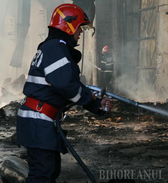 Incendiu uriaş la Nutrientul Palota: Pompierii au luptat nouă ore cu flăcările (VIDEO)