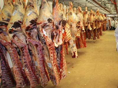Remorcă încărcată cu carne de porc de peste 140.000 lei, descoperită la Palota