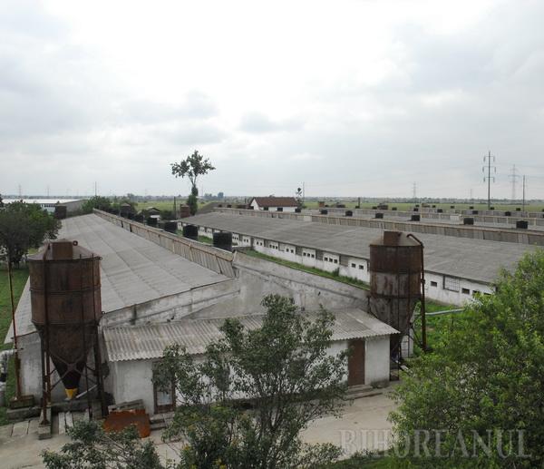 Primul succes în lupta cu duhoarea: Nutrientul Palota ar putea rămâne fără autorizaţie de mediu